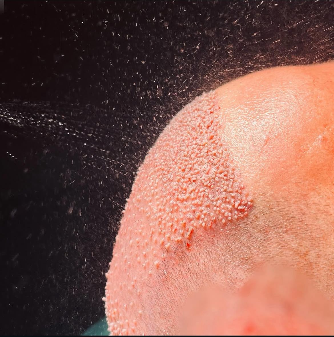 whatsapp image 2026 02 23 at 14.28.05